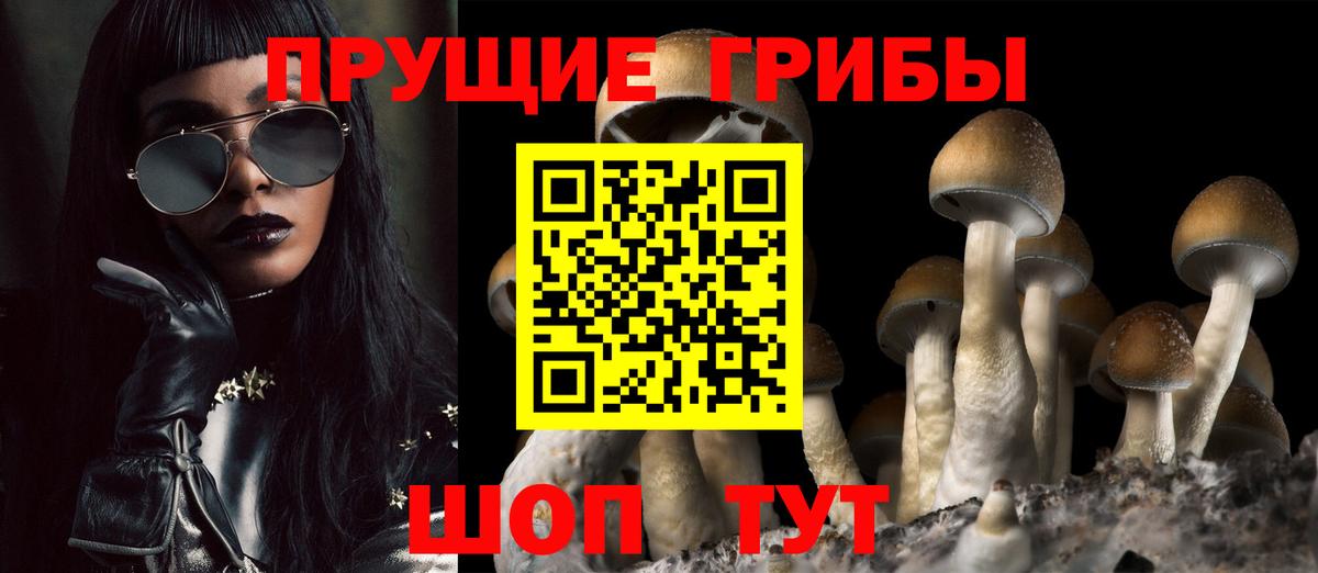 Майский  Галлюциногенные грибы GOLDEN TEACHER  Галлюциногенные грибы мухоморы  Вход с VPN 